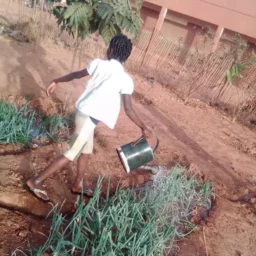 Umanu, 10 ans en 2026