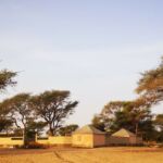 senegal-jardins-umanu (3)